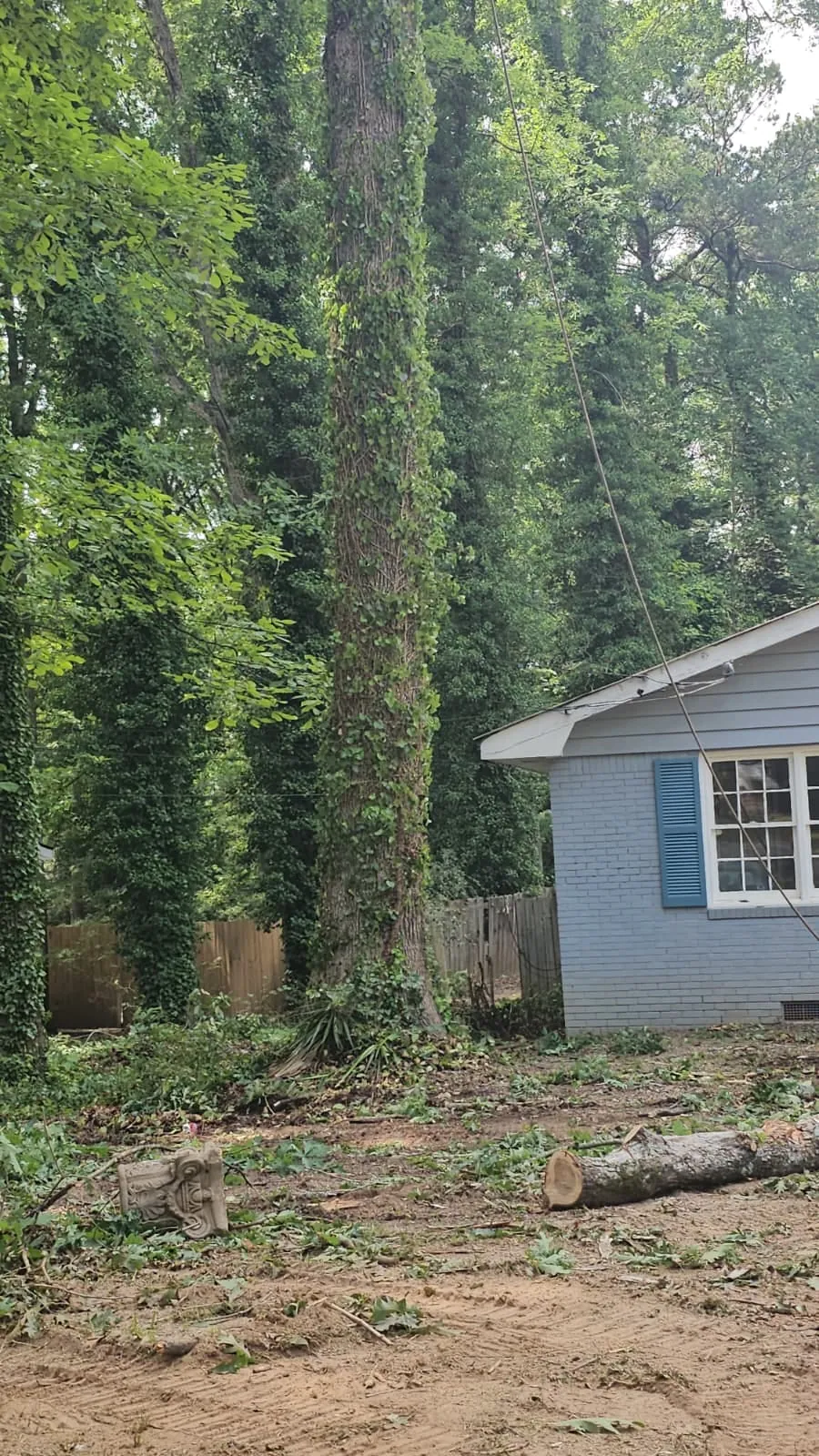 IG Tree Service project photo 5
