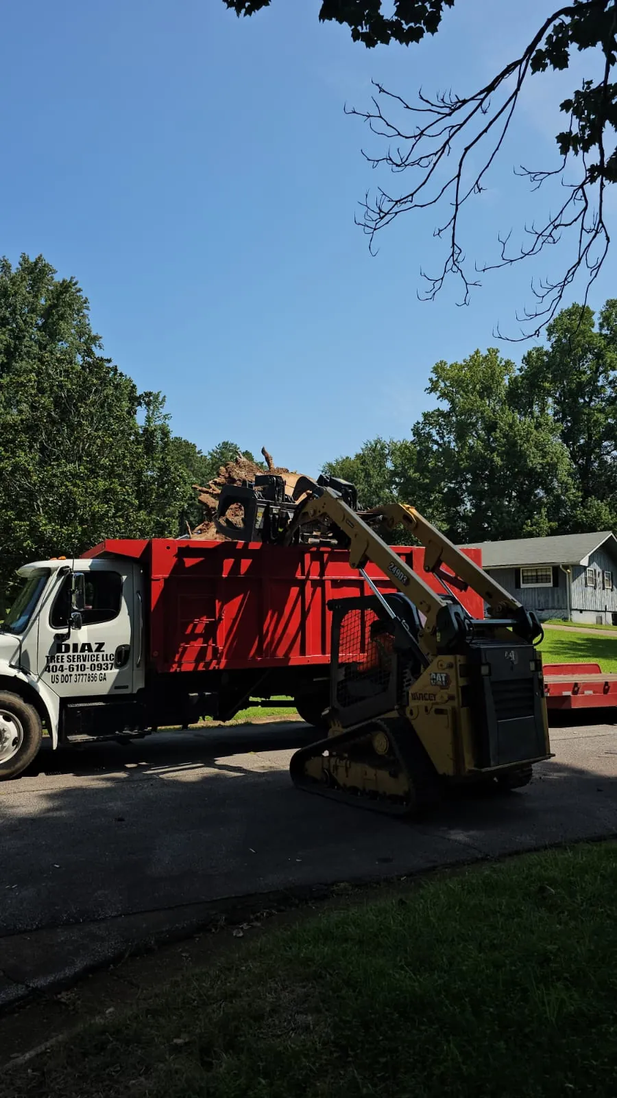 IG Tree Service project photo 8