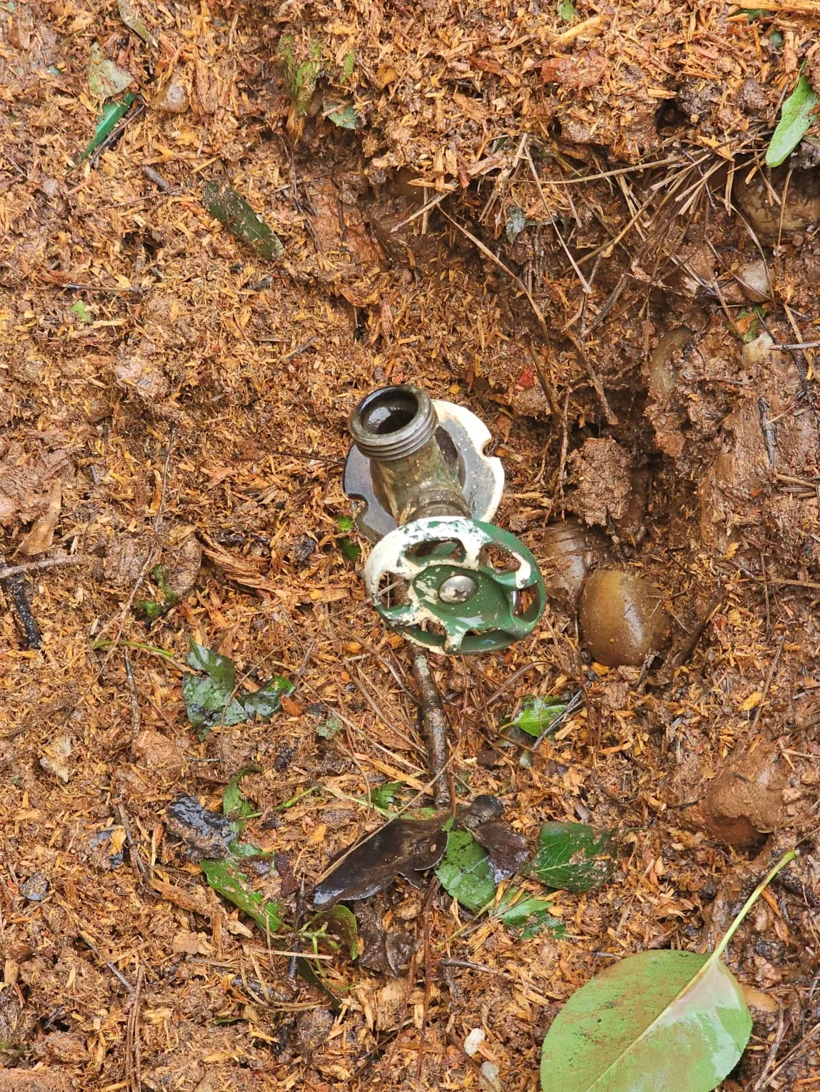 IG Tree Service project photo 17