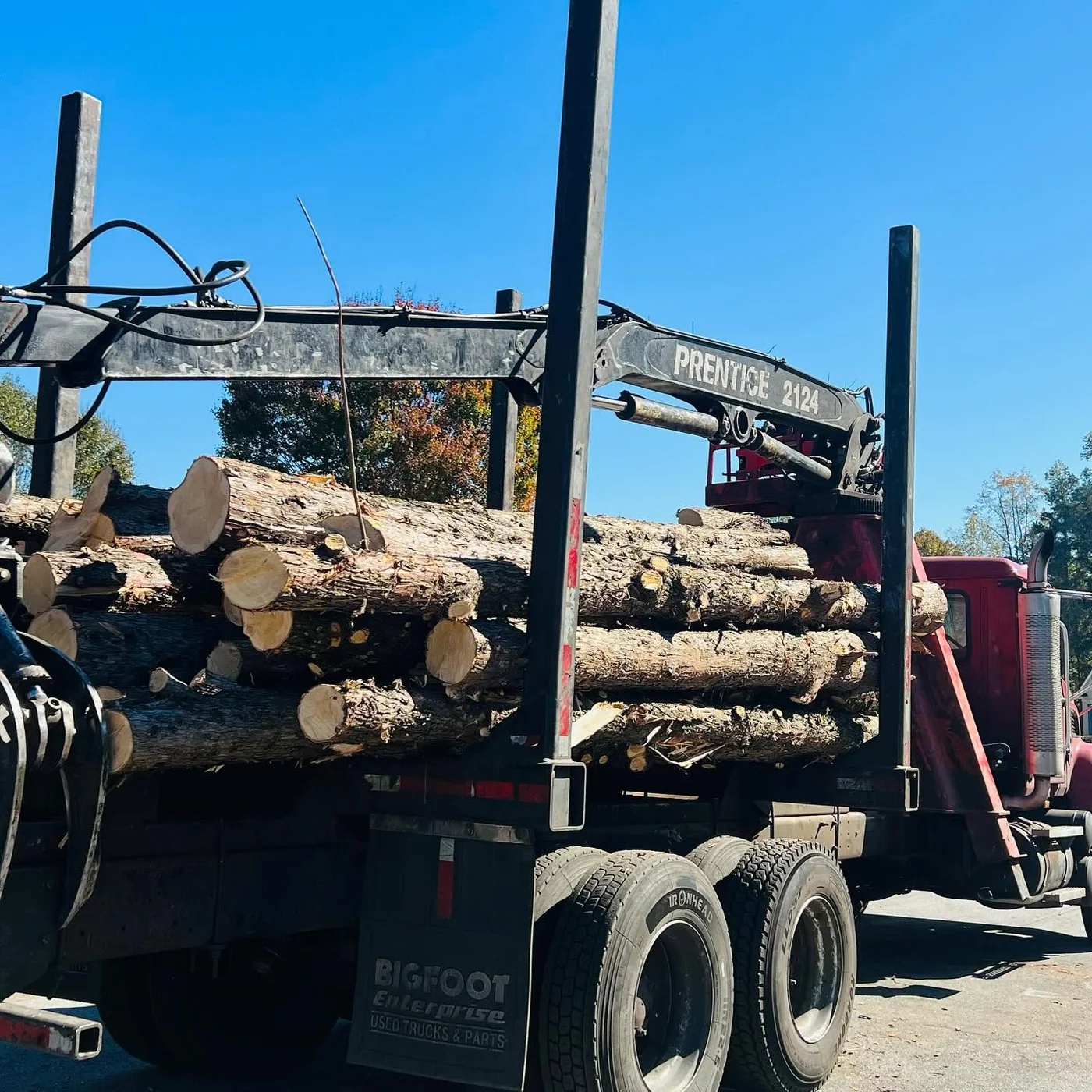 Truck loaded with cut tree logs after a tree service project