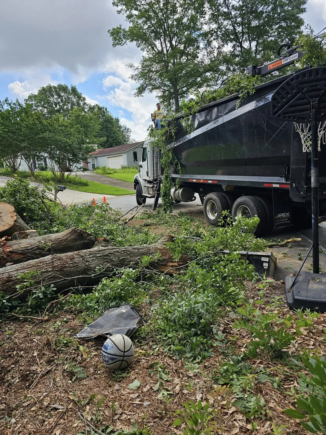 Tree removal cleanup with a work truck and cut branches