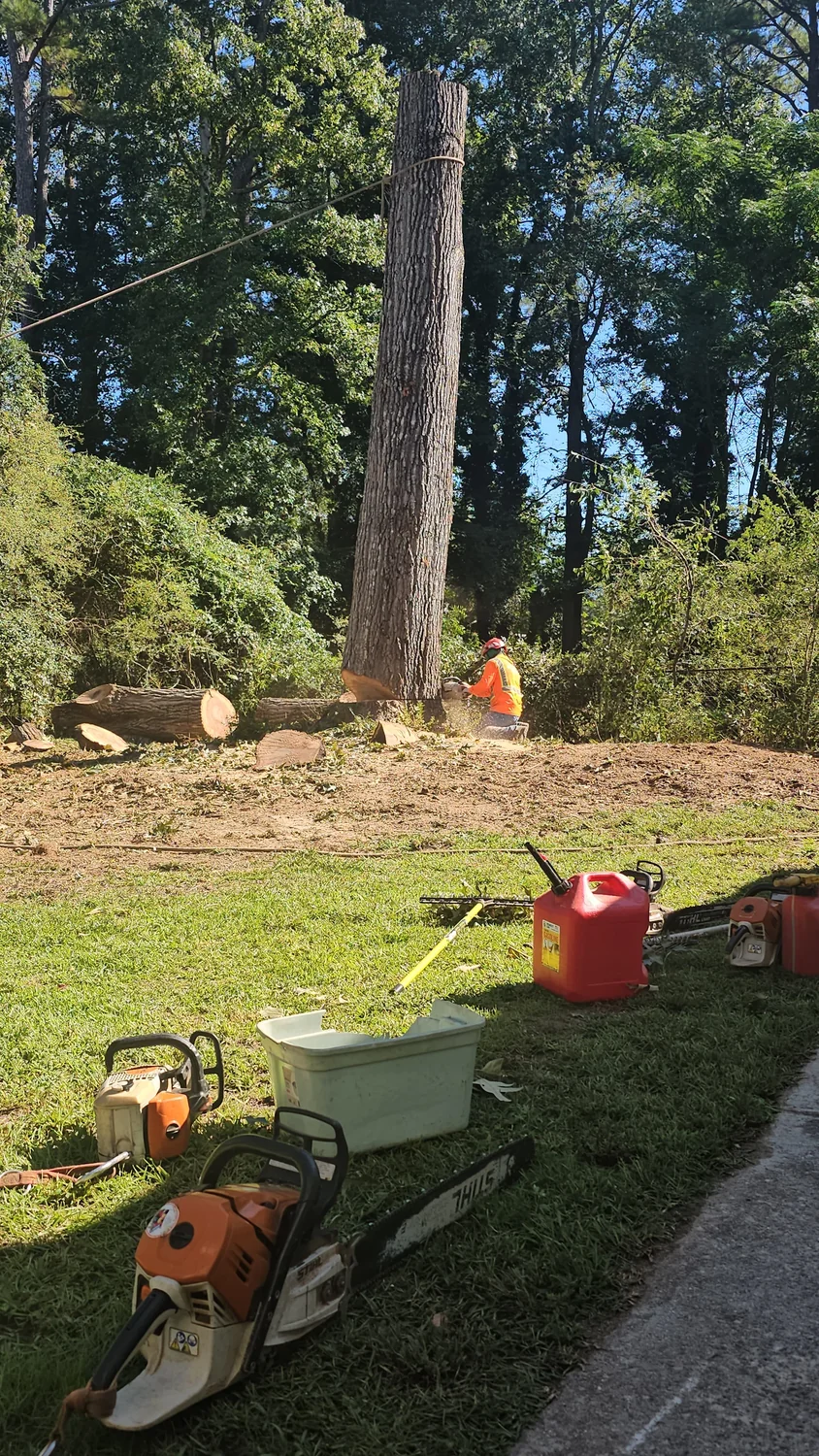 Stump Grinding by IG Tree Service